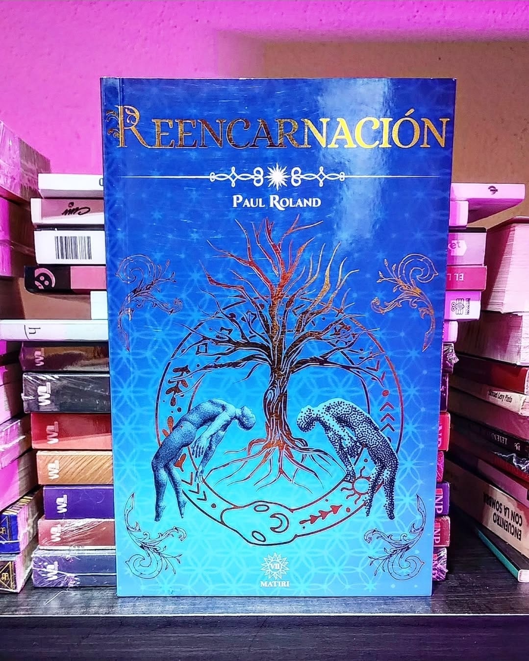 Libro “Reencarnación.”