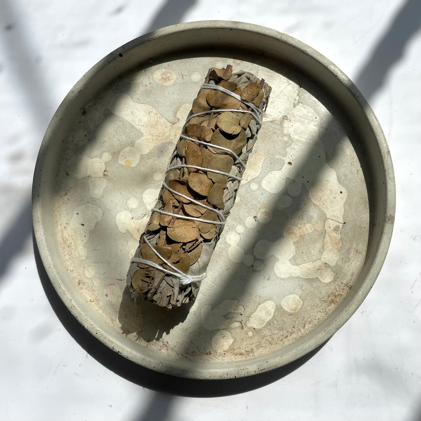 Sahumerio de Salvia y Dolar