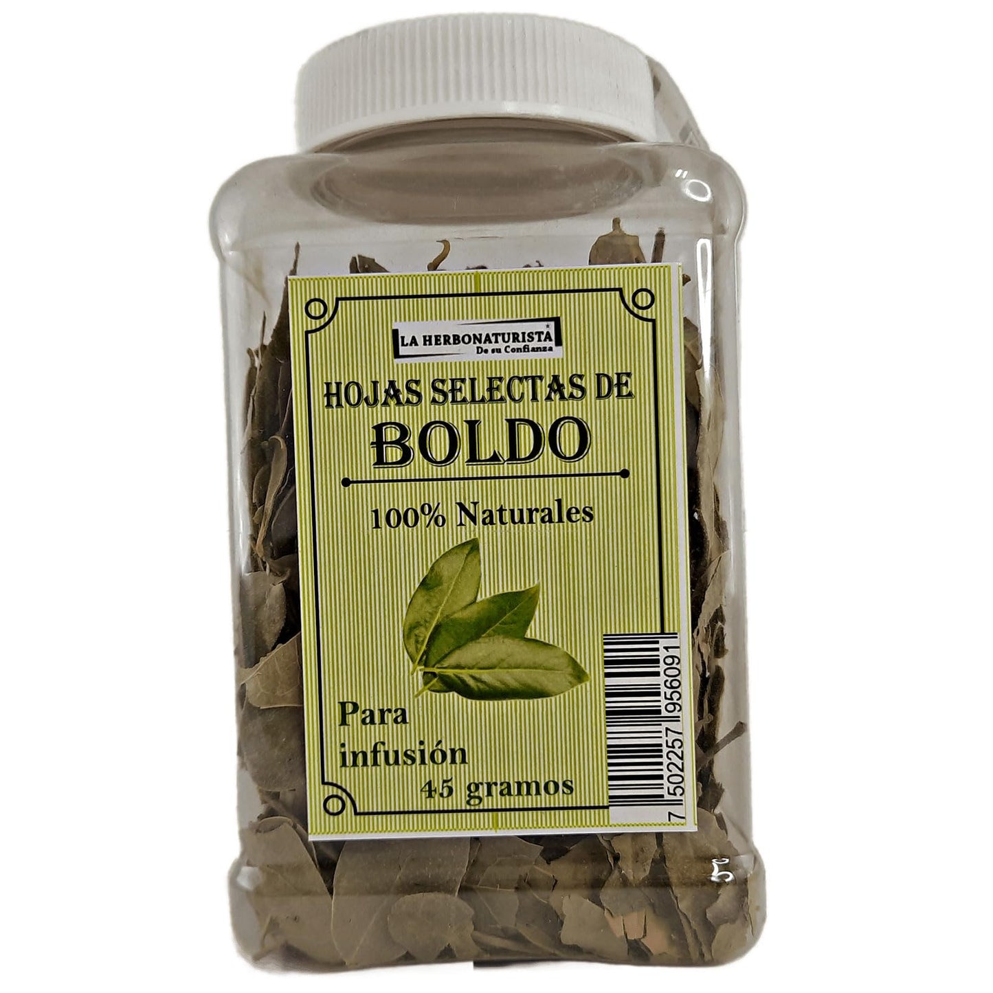 Té de Boldo Hojas Selectas