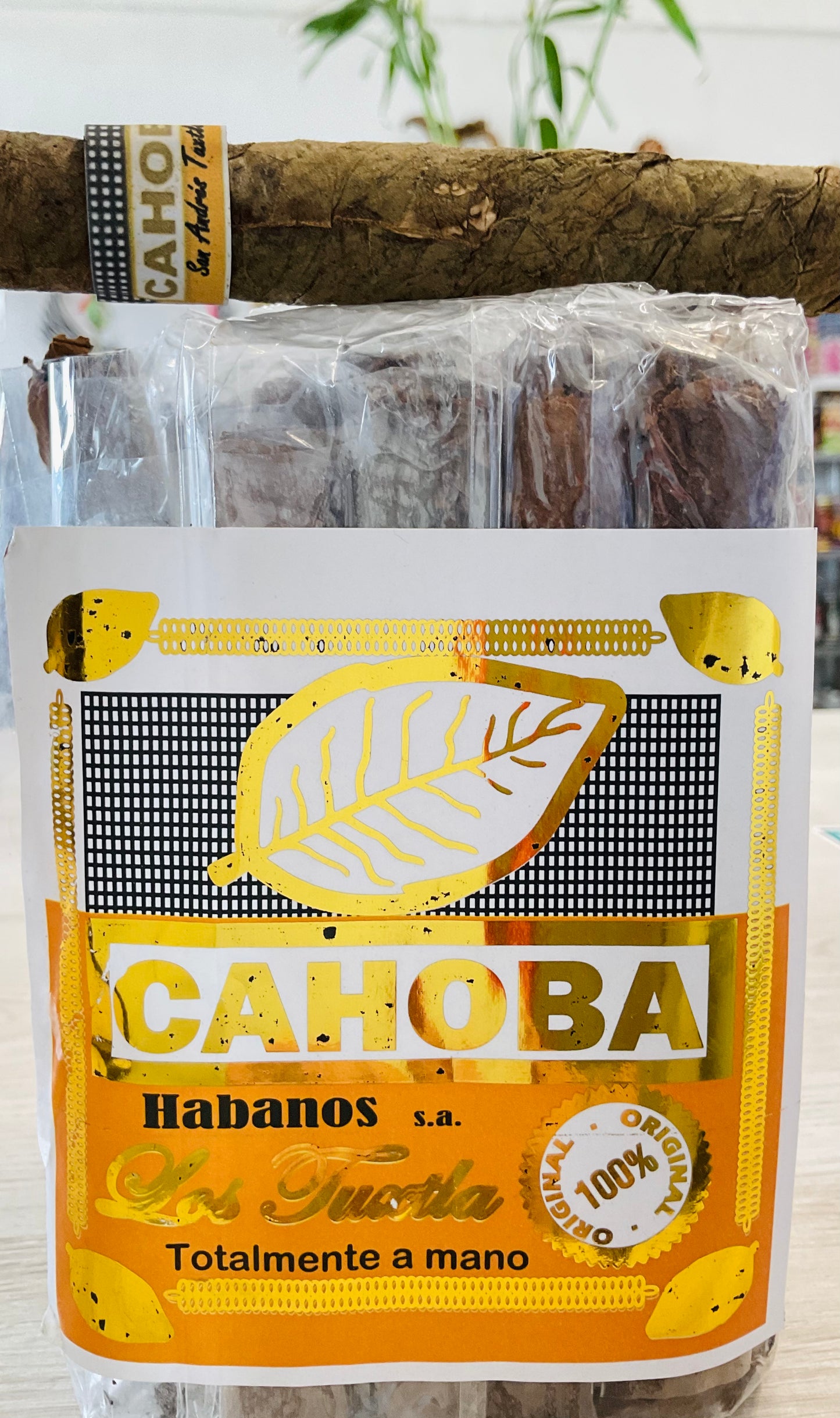 Puros Cahoba c/u